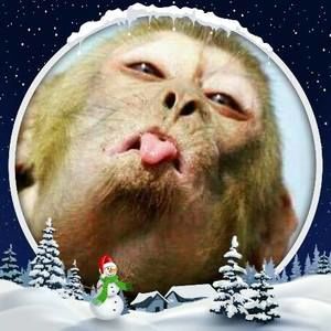 Meet your Posher, Cecilia